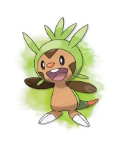 Chespin-Pokemon-X-and-Y