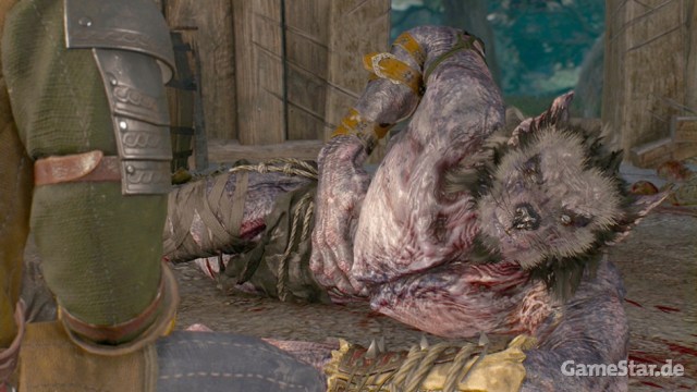 sidequests_wolfspelz01